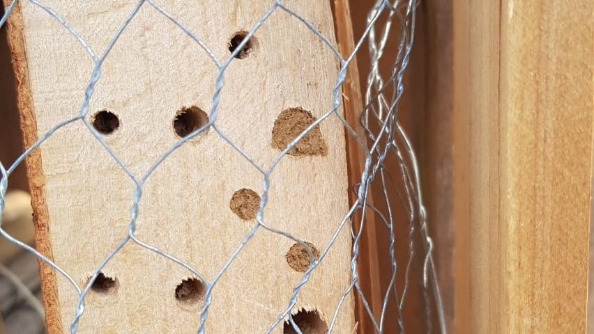 Quelle: Seelsorgeeinheit